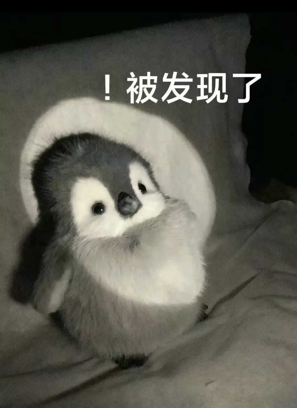 被发现了.jpg