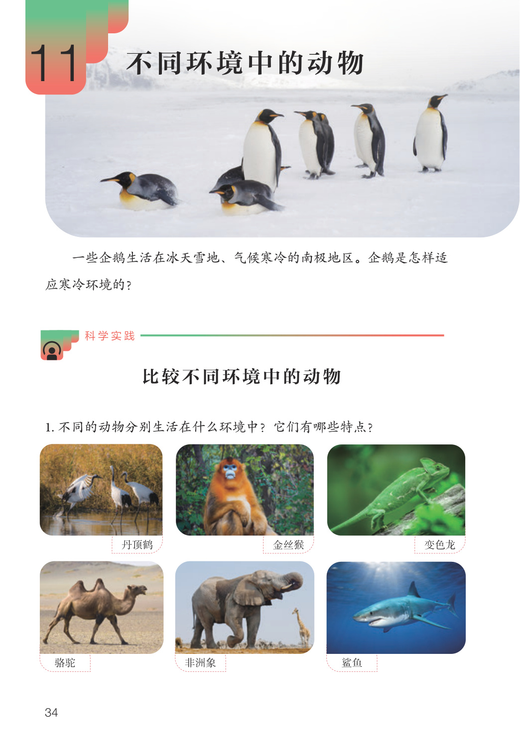 novel_d58ac4d91483.jpg