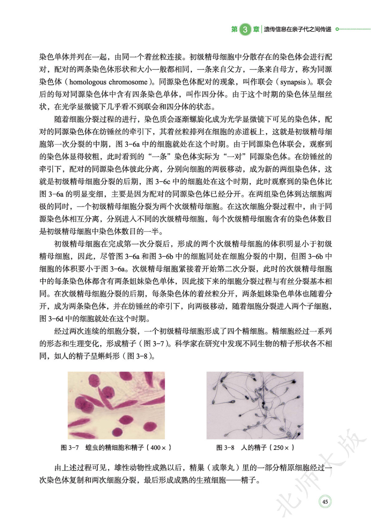 novel_1affc568634f.jpg