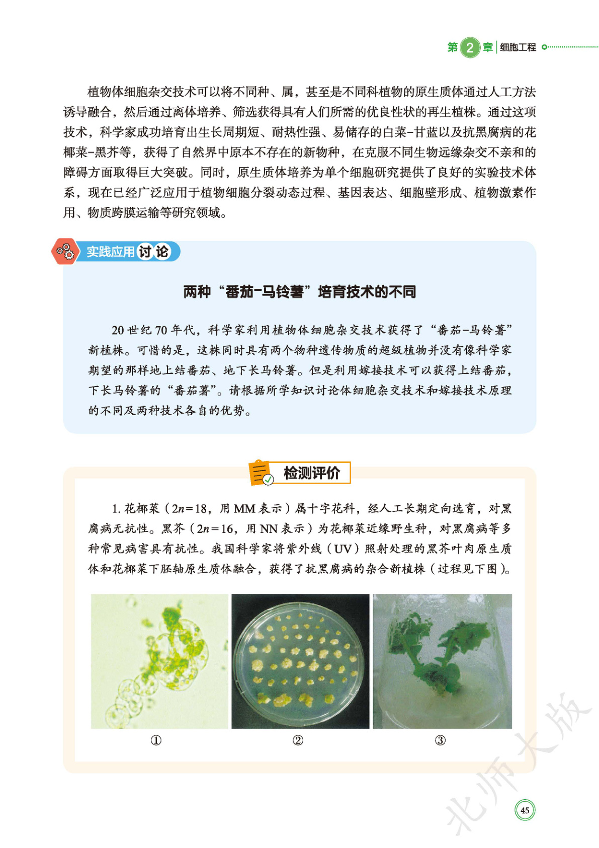 novel_9d361a2618f8.jpg