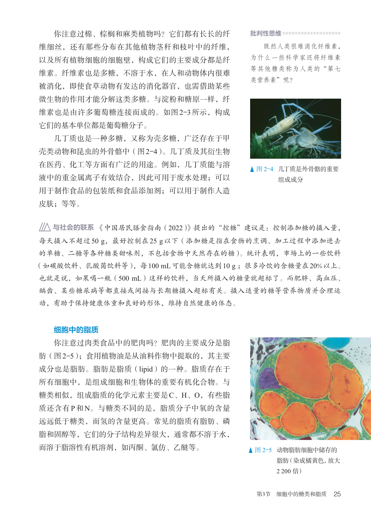 novel_9f15ee2deb91.jpg