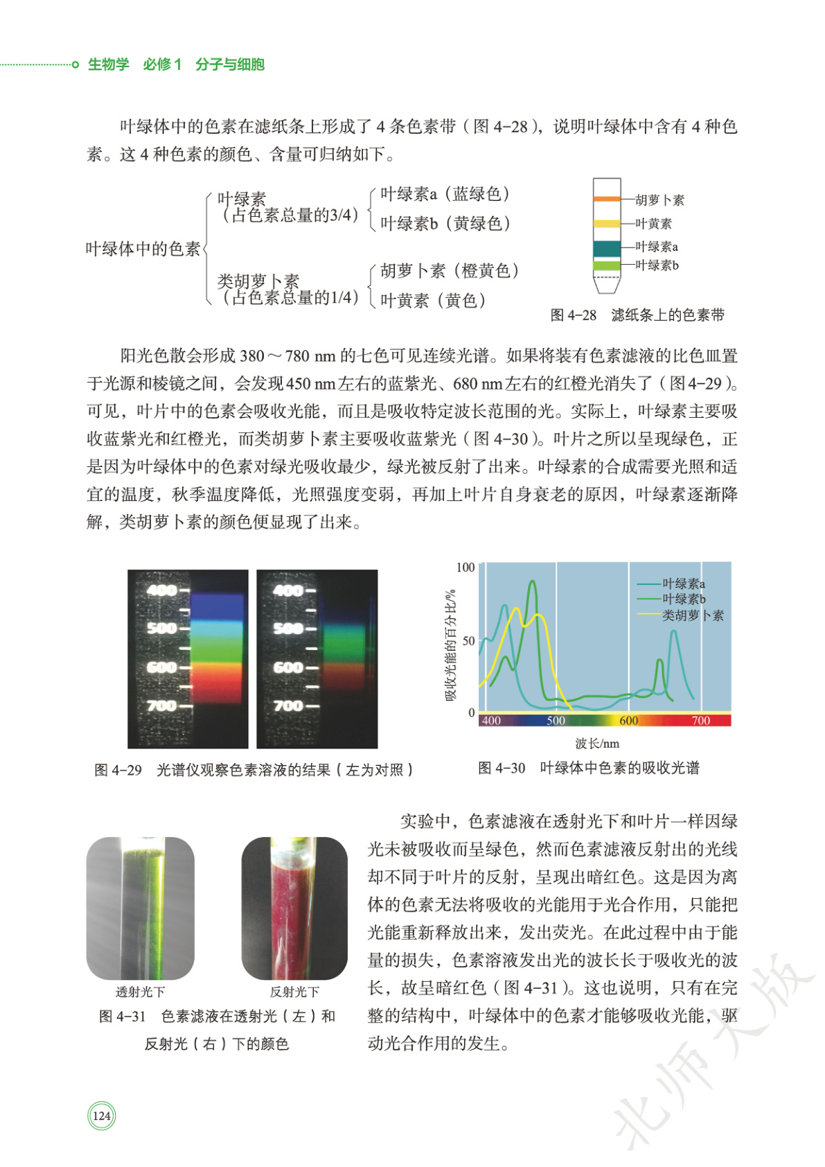novel_97050d5ed43d.jpg
