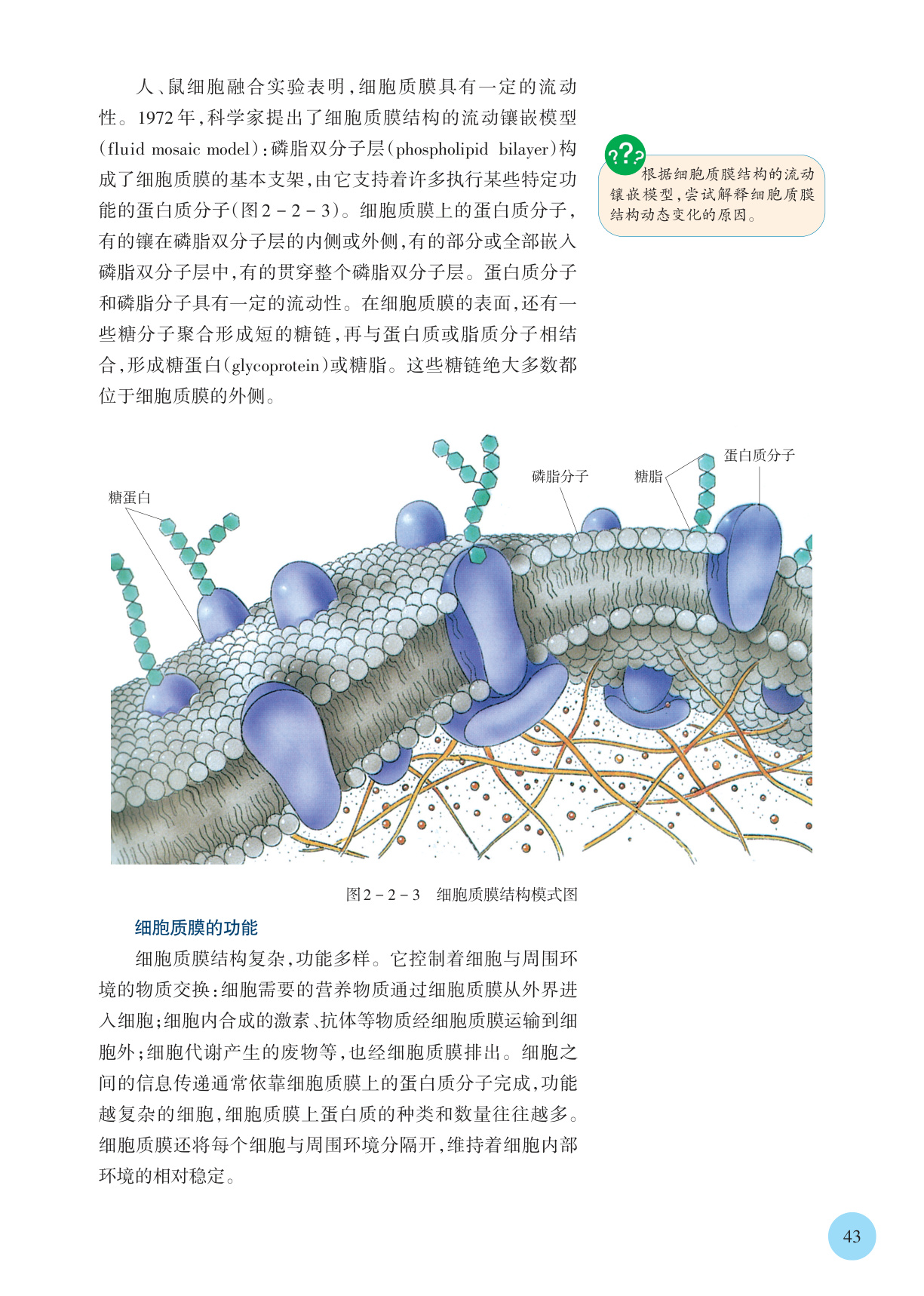 novel_afe9cf50e980.jpg