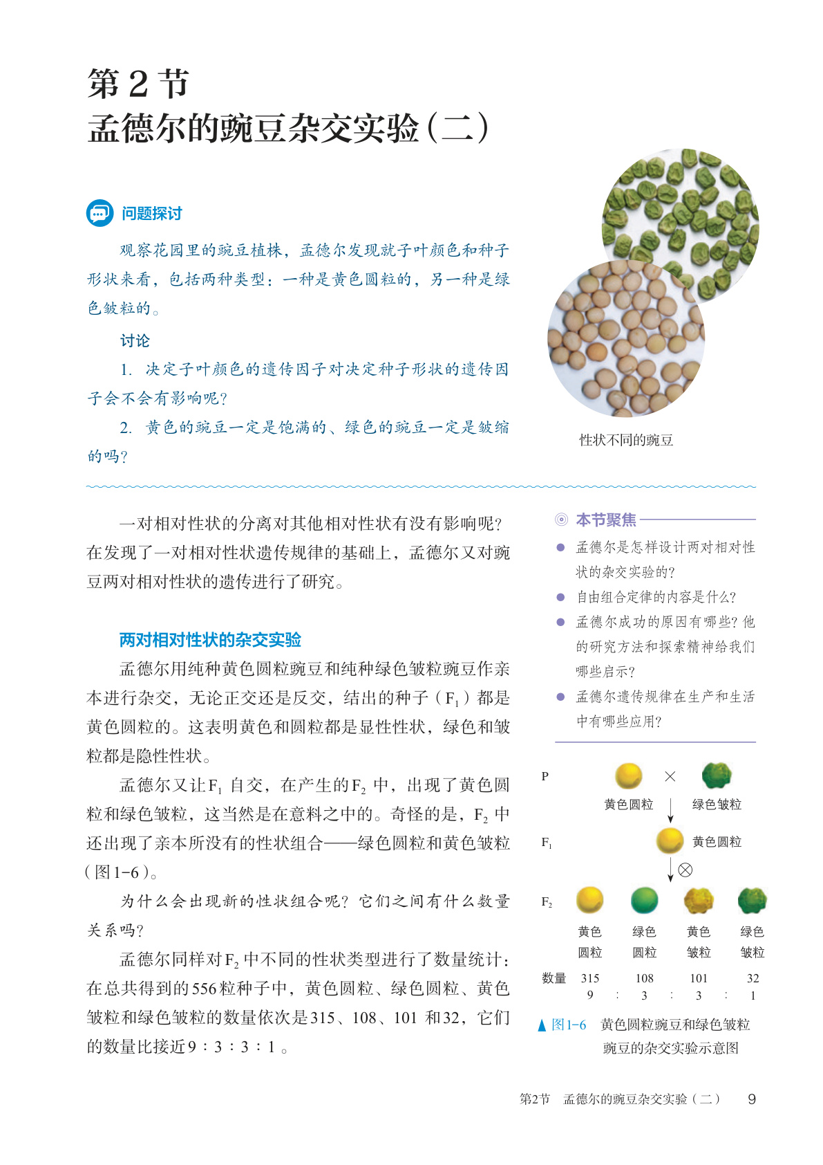 novel_c2f1f13f66ac.jpg