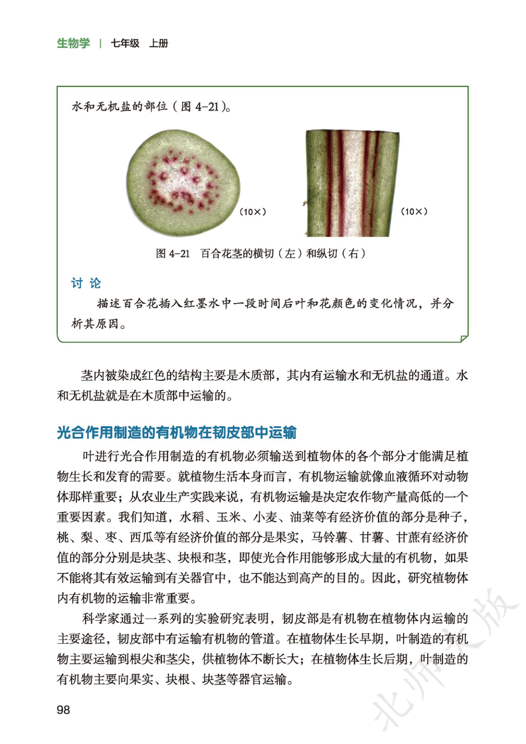 novel_decd3d876936.jpg
