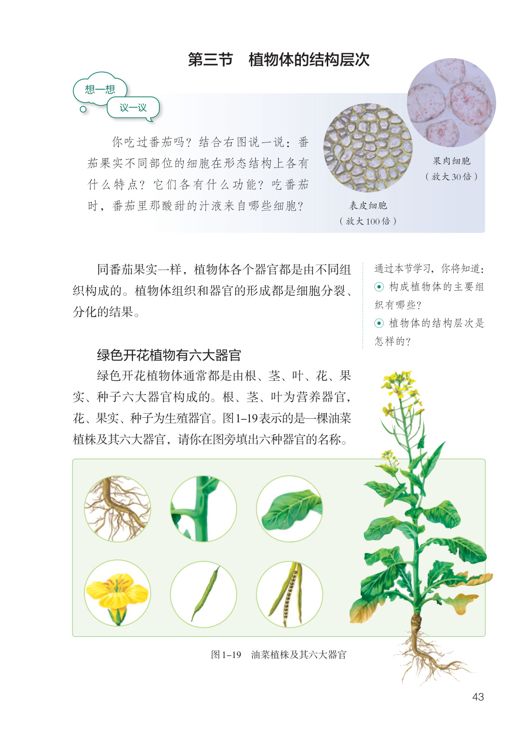 novel_fa862ea94c76.jpg