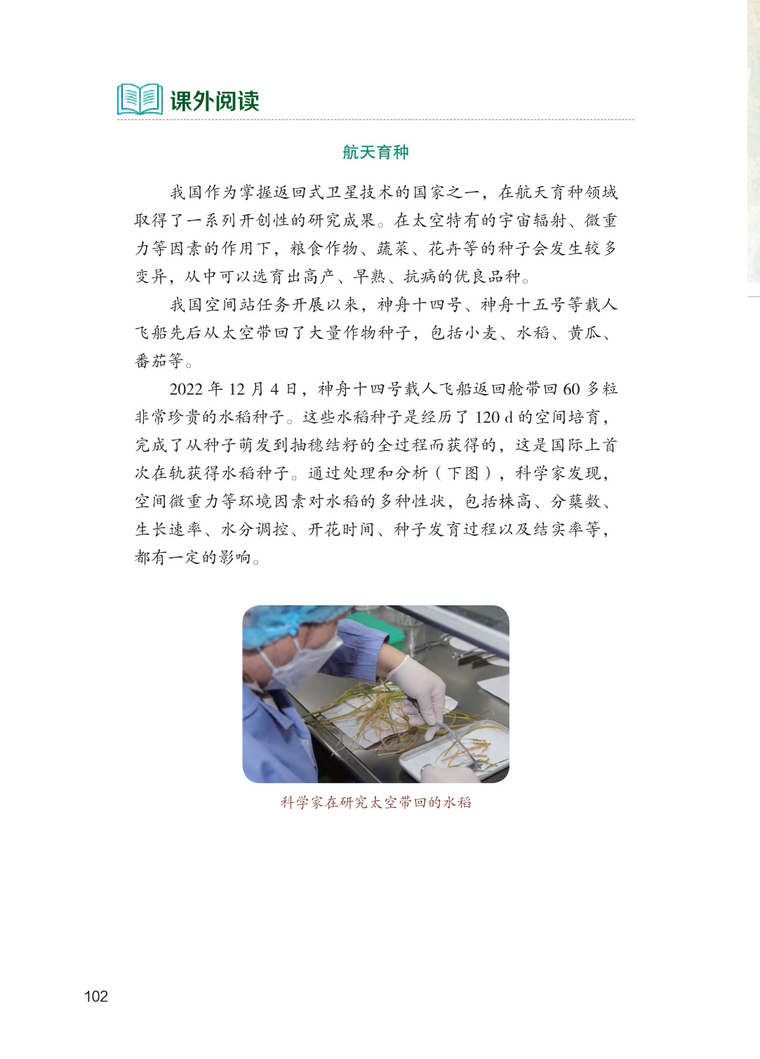 novel_986f0970d690.jpg