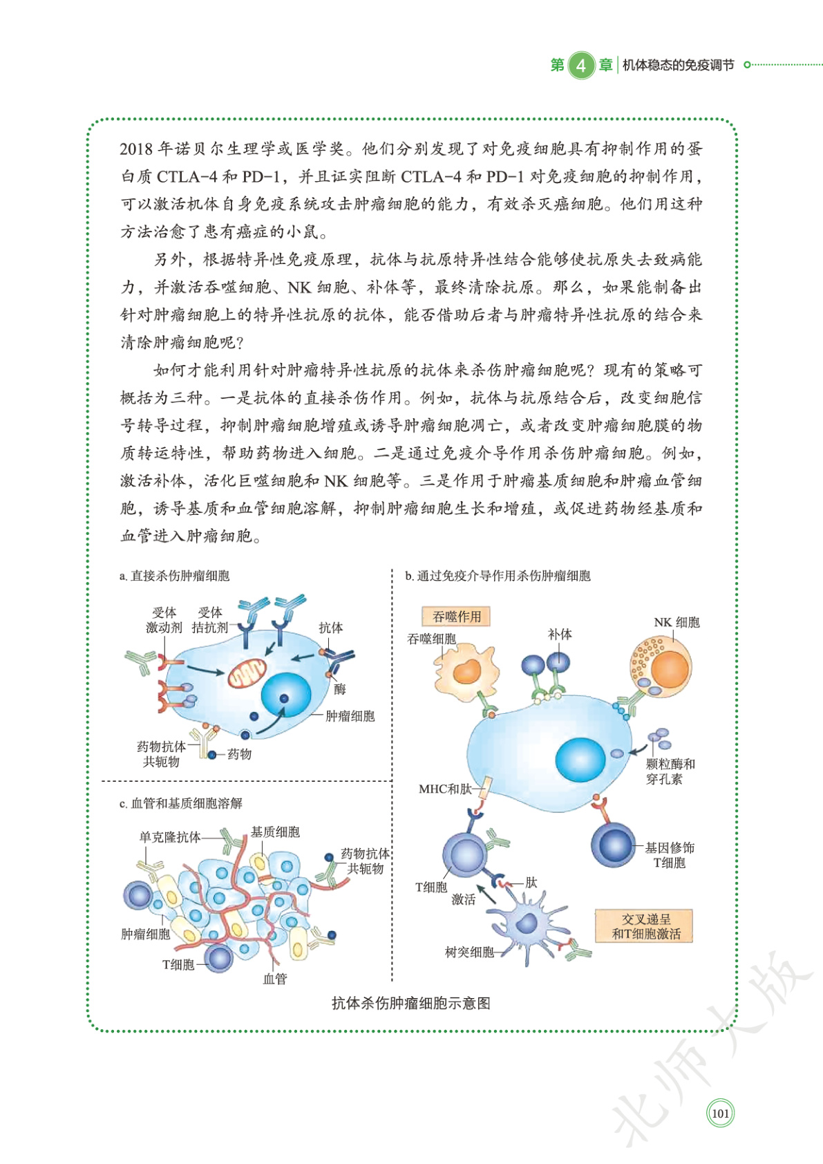 novel_4538d7a2ae73.jpg