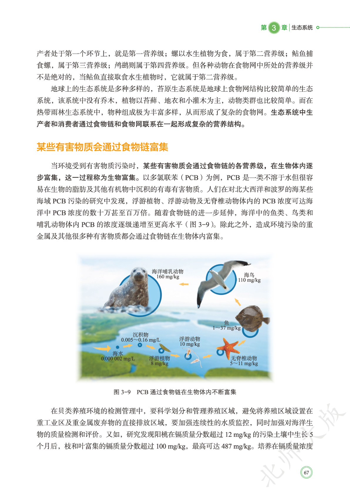 novel_6395679cdd3d.jpg