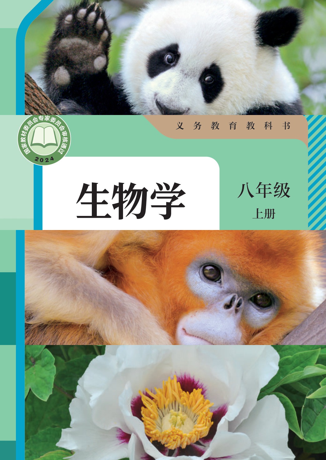 novel_cca33eb637f8.jpg