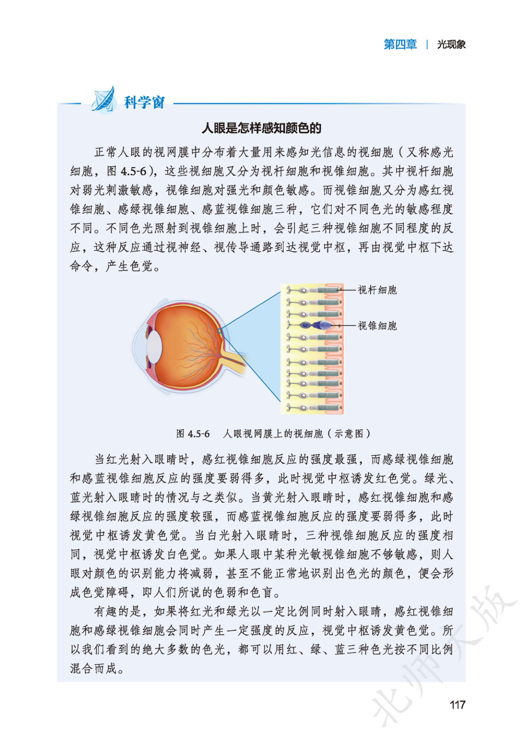 novel_0c5812b1ffaa.jpg