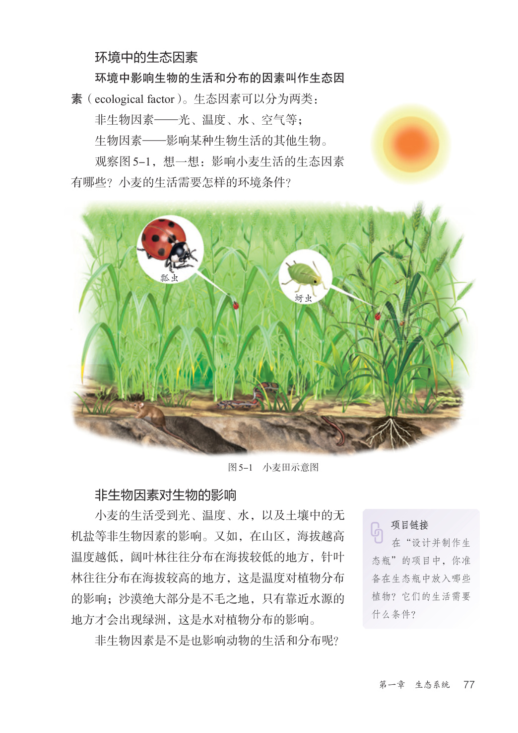 novel_7db12b526426.jpg