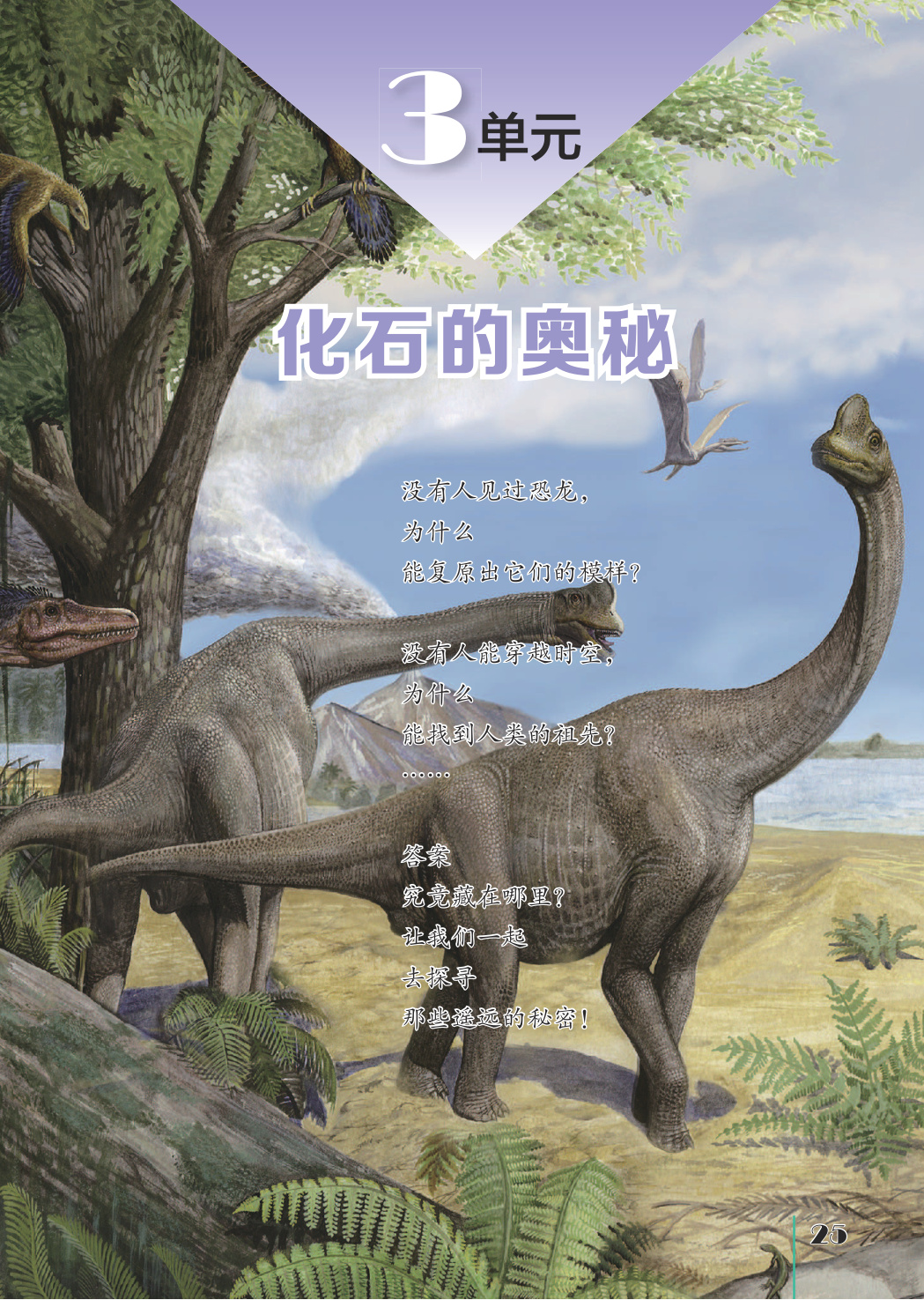 novel_53ca658d25cd.jpg