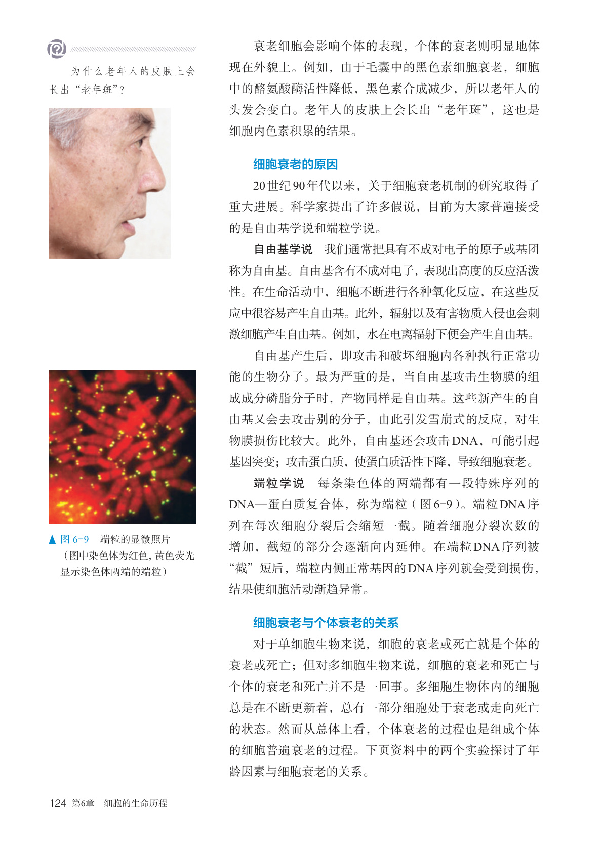 novel_a50ed3d8a626.jpg