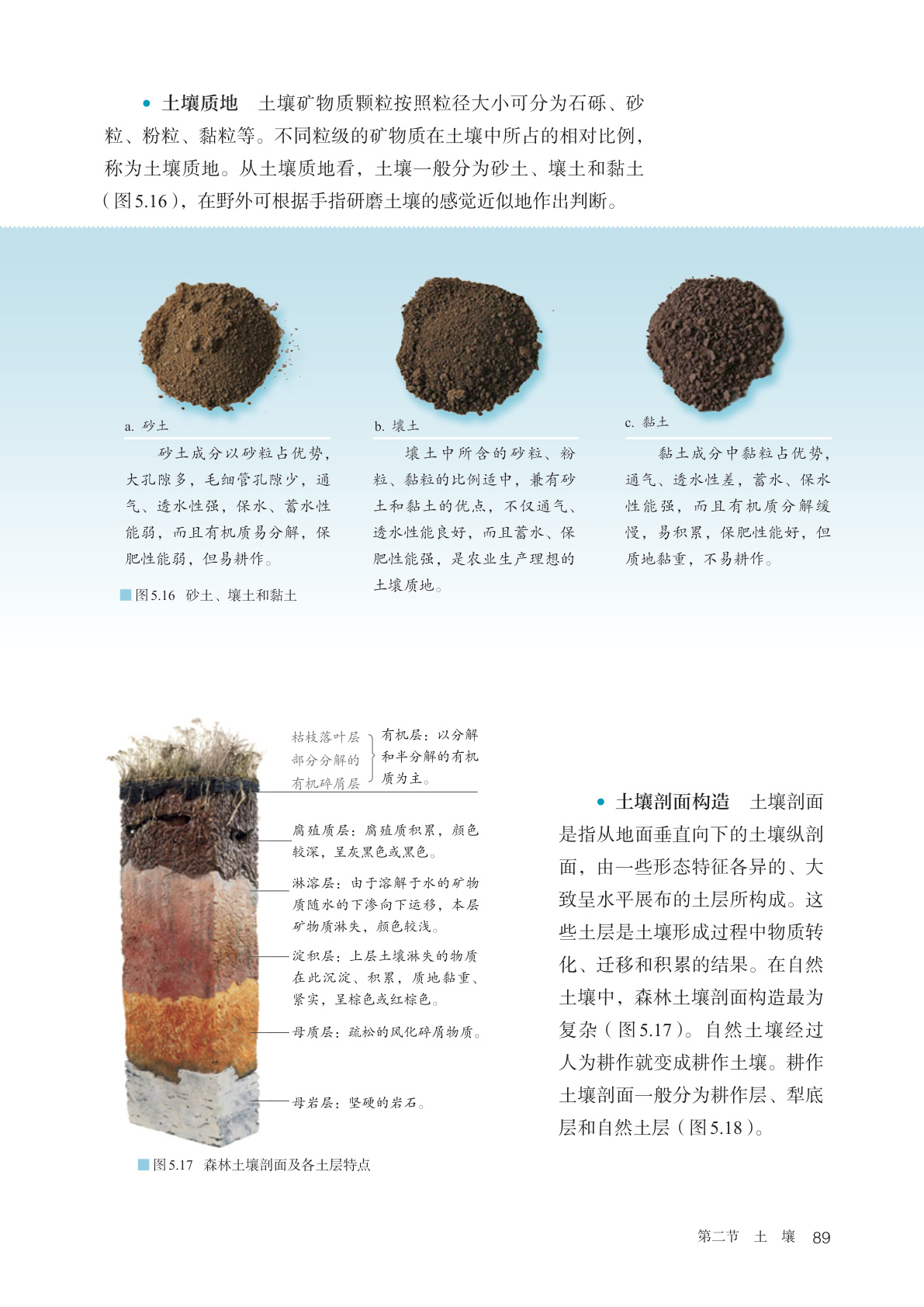 novel_6e66a9389855.jpg