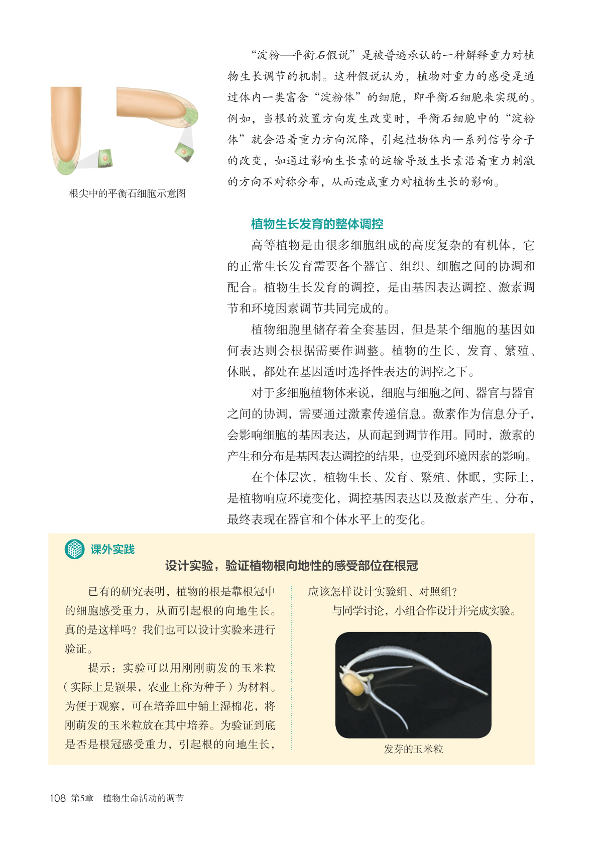 novel_17c75ded8a53.jpg