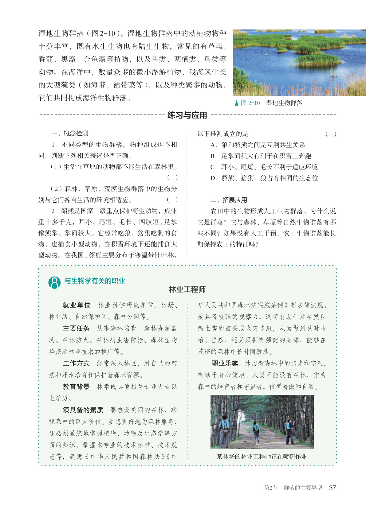 novel_0e795b3ce67f.jpg