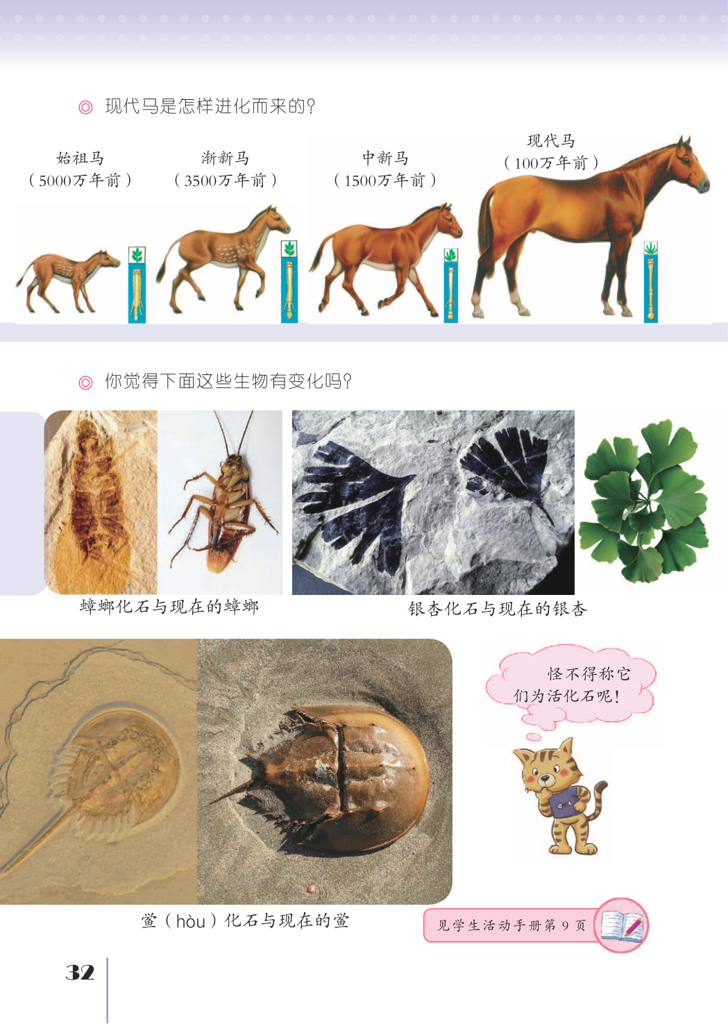 novel_6a263dd7df14.jpg