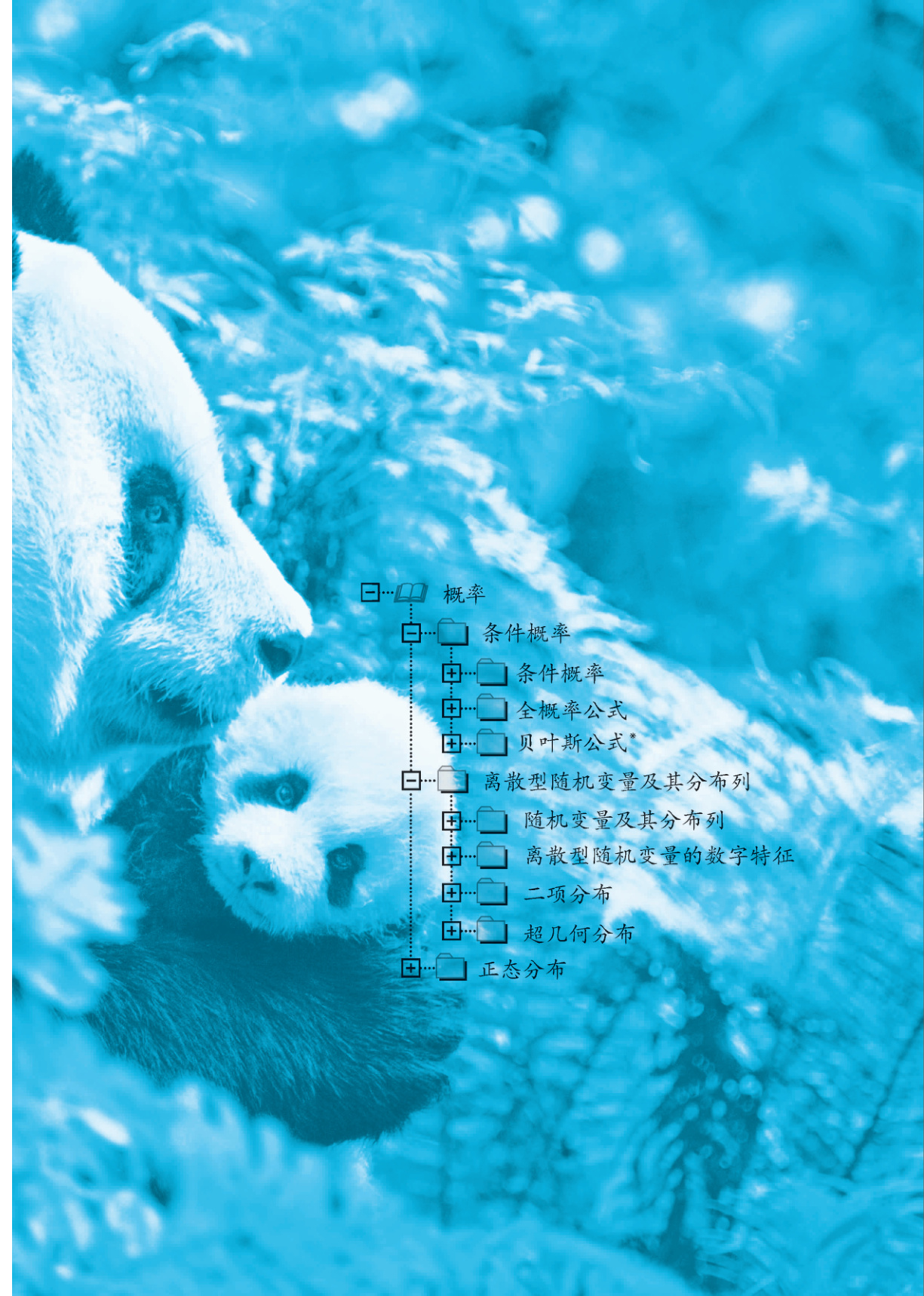 novel_7fd6c84d1491.jpg