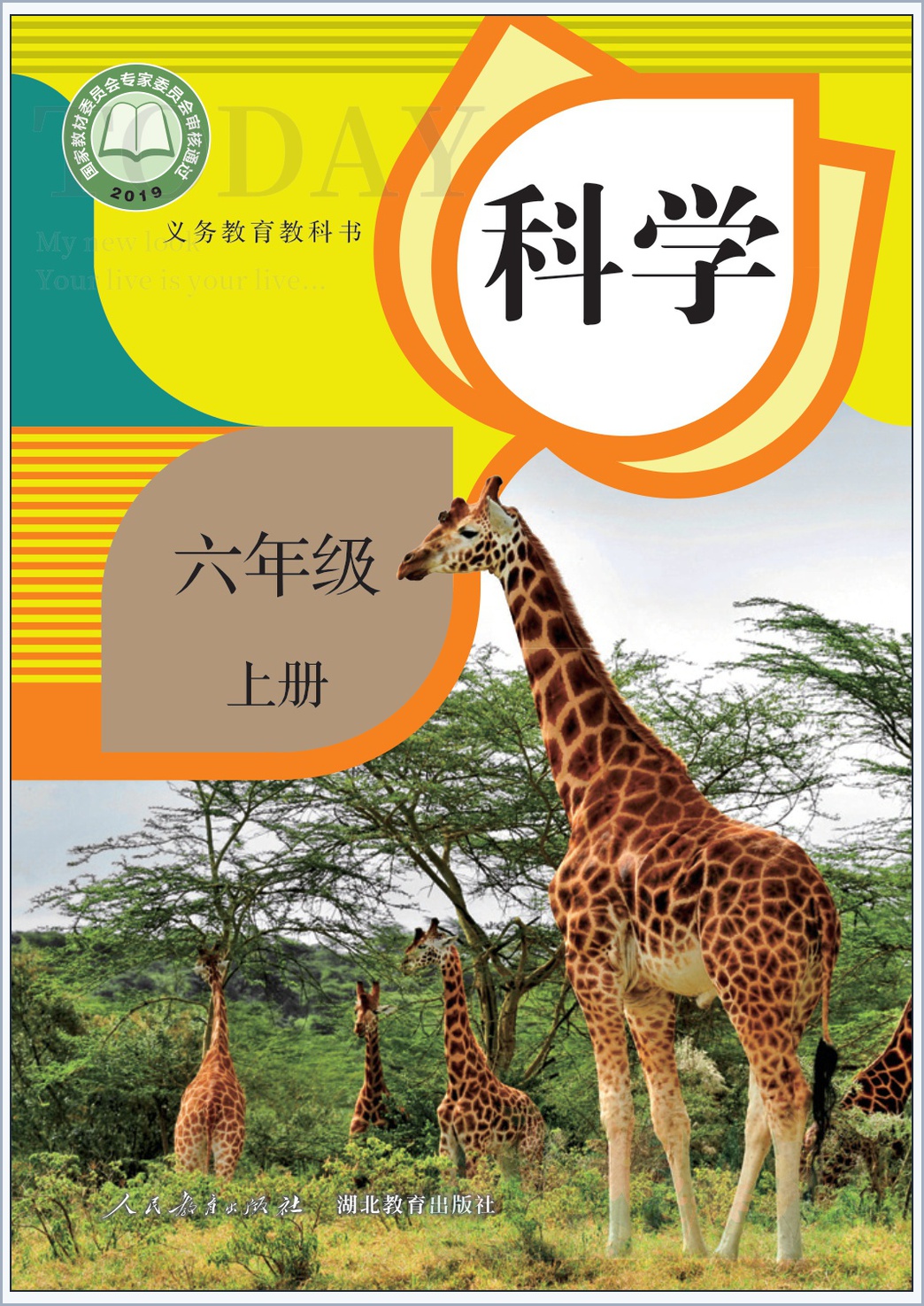 novel_60684e4d3f84.jpg