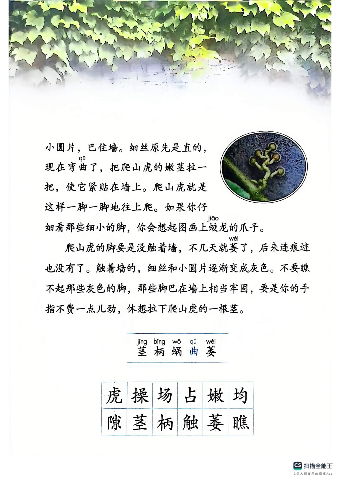 novel_23ff01dc1f78.jpg