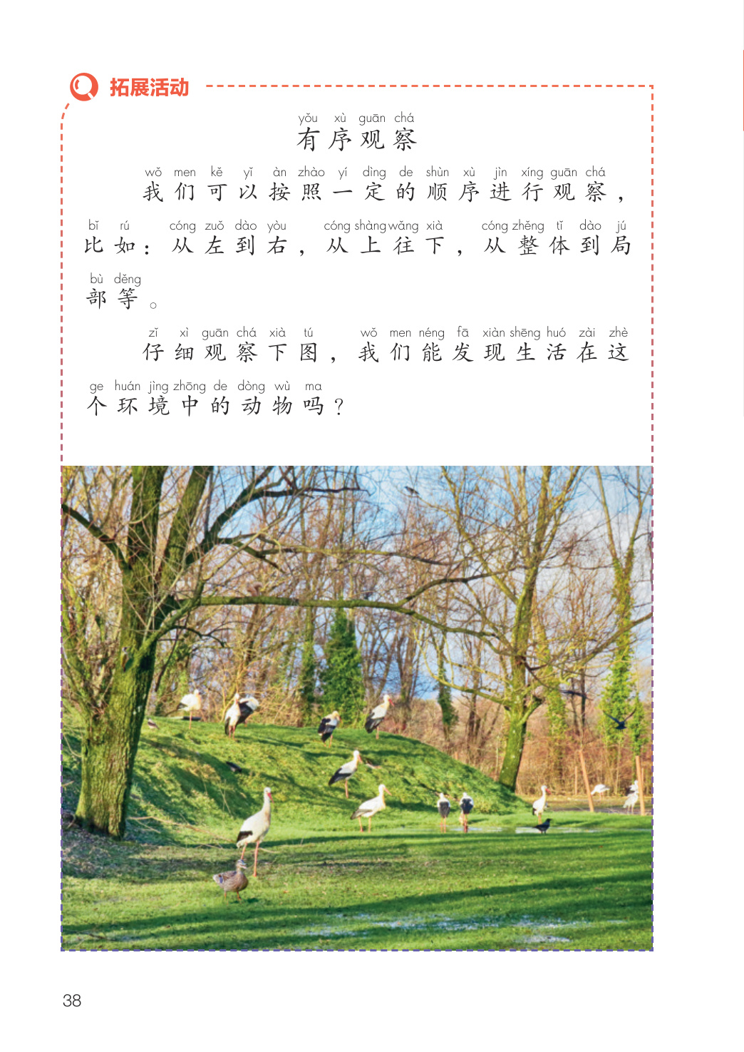 novel_5718fb1731e8.jpg