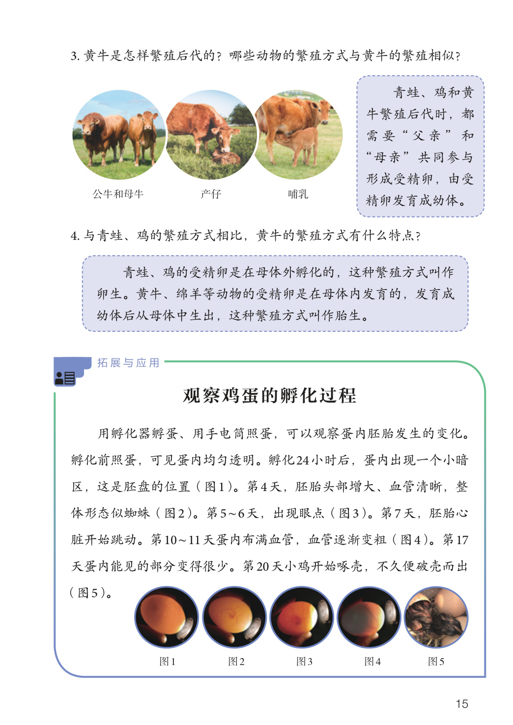novel_5ef63da0ebf4.jpg