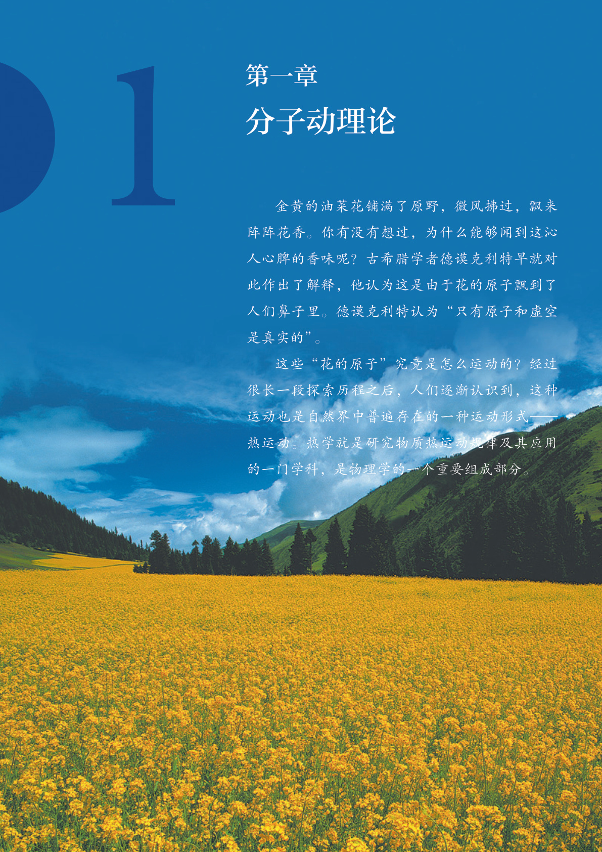 novel_2a48218df8c5.jpg