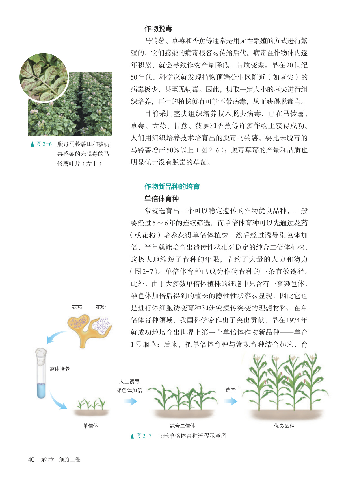 novel_087d26b5b505.jpg