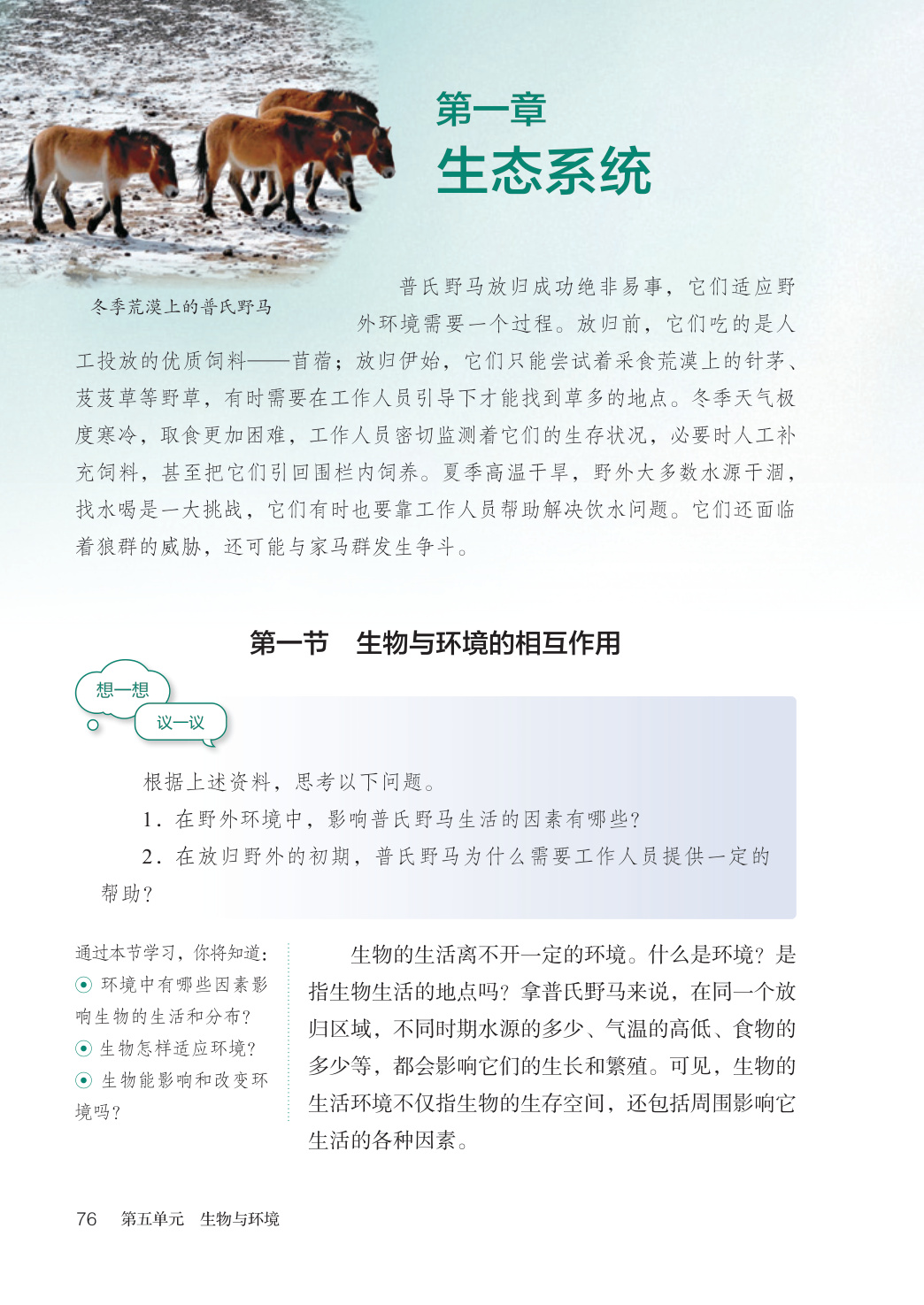 novel_8730a8d28744.jpg