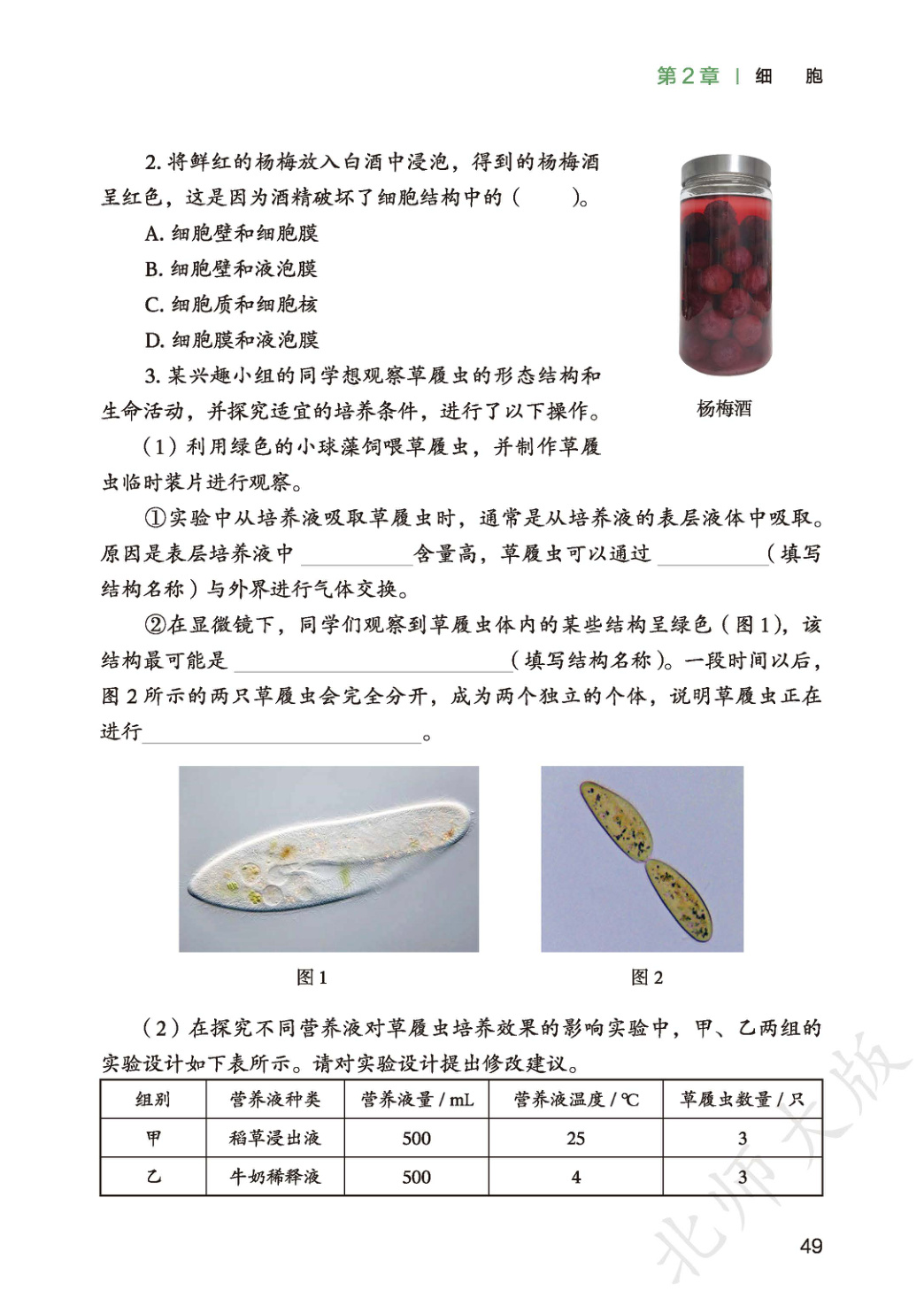 novel_26b52630aeb9.jpg