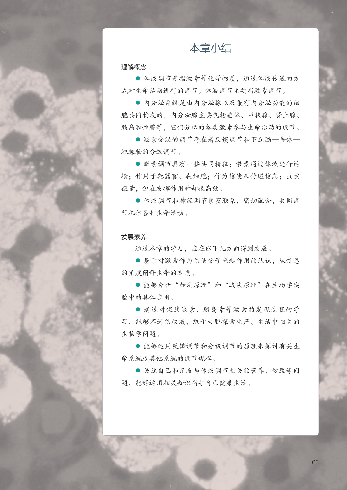 novel_86445fa2998c.jpg