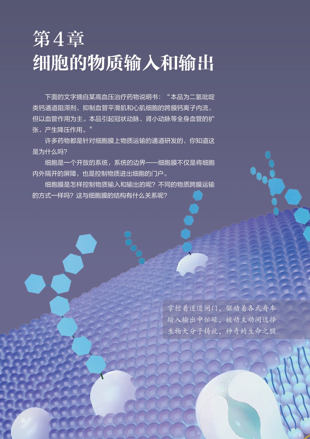 novel_f2f50644f040.jpg
