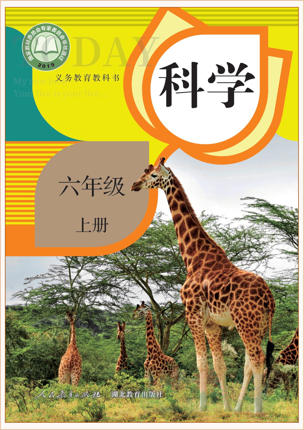 novel_390c8d268991.jpg