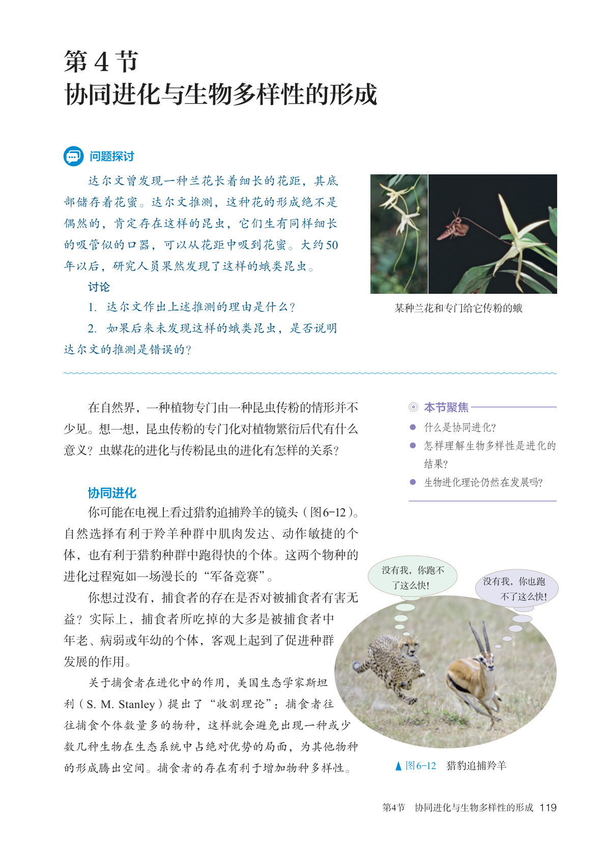 novel_45cba5b4bee3.jpg