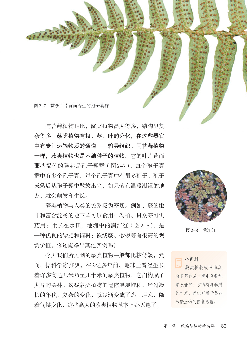 novel_d21a8ea5759a.jpg