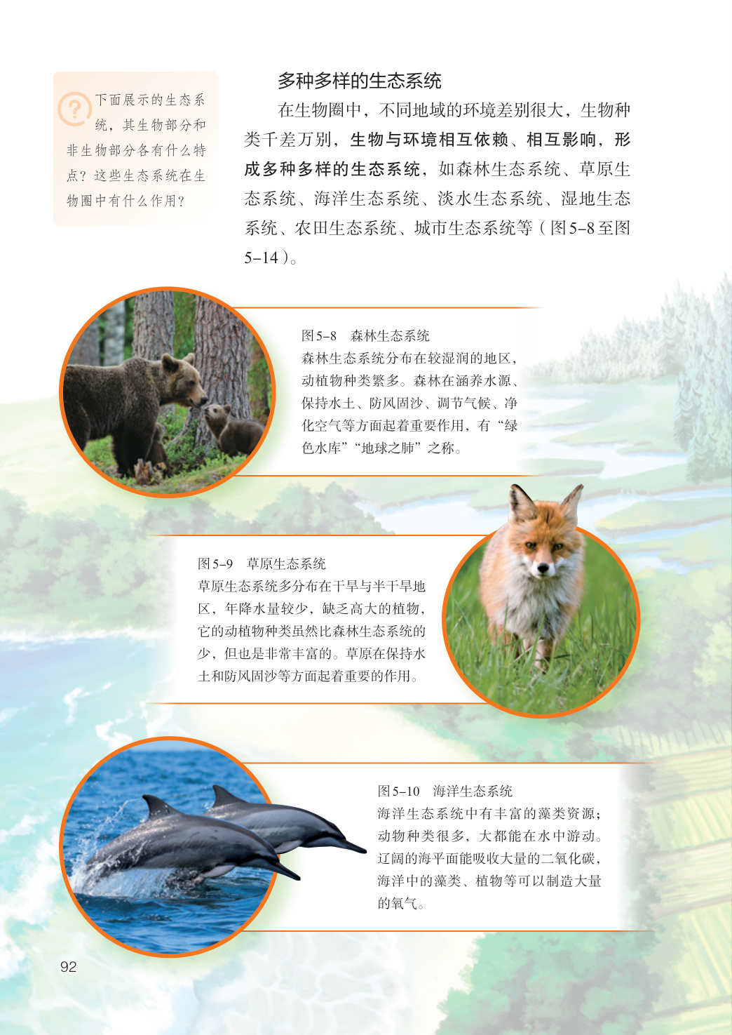 novel_333f5b0a20f7.jpg