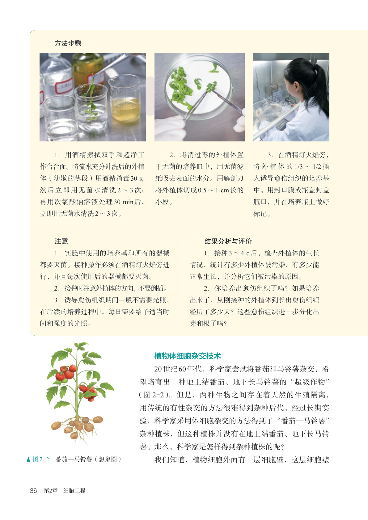 novel_700e2103806b.jpg