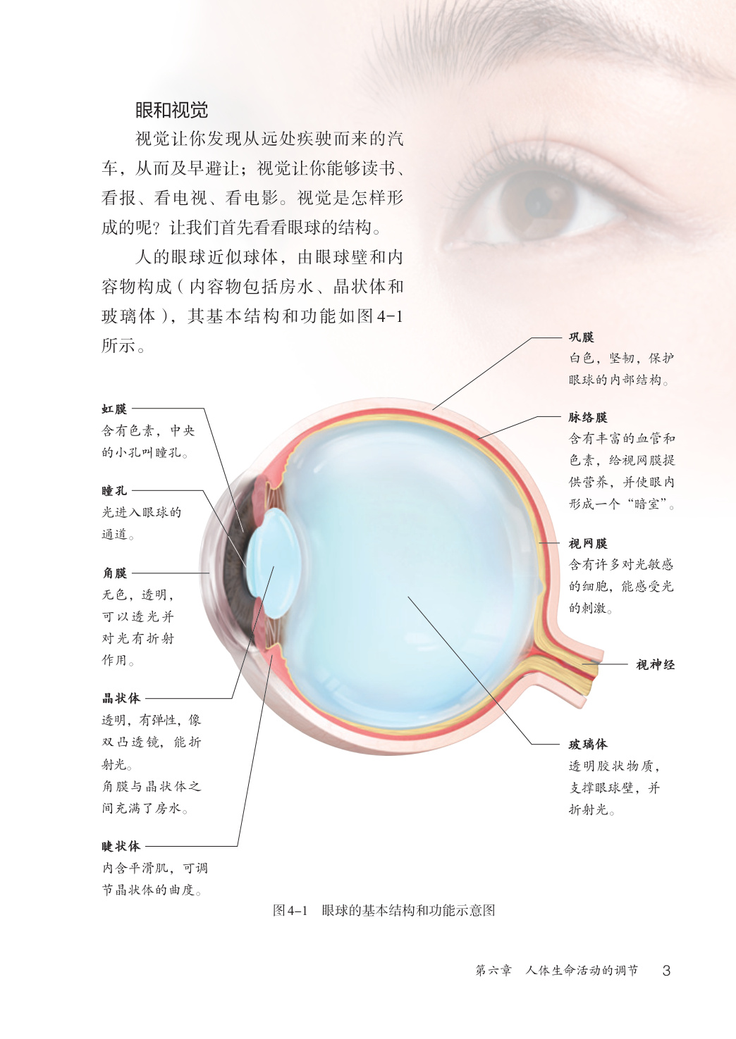 novel_f56ca04b7ebe.jpg