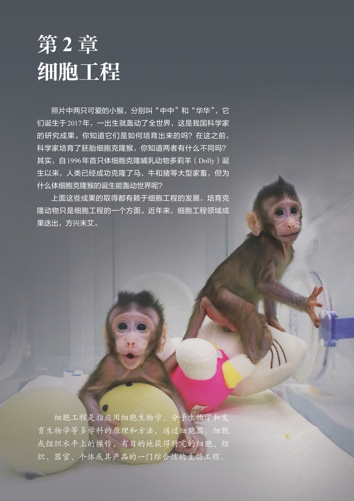 novel_69b848d6f9cf.jpg