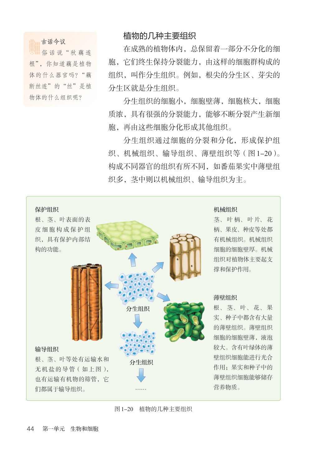 novel_ffa517e2aebf.jpg