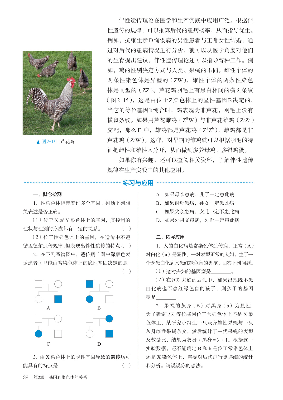 novel_1be63b8fd896.jpg