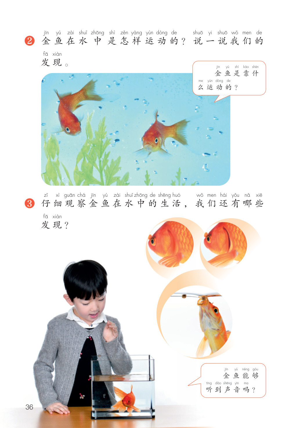 novel_95eff224cbcb.jpg