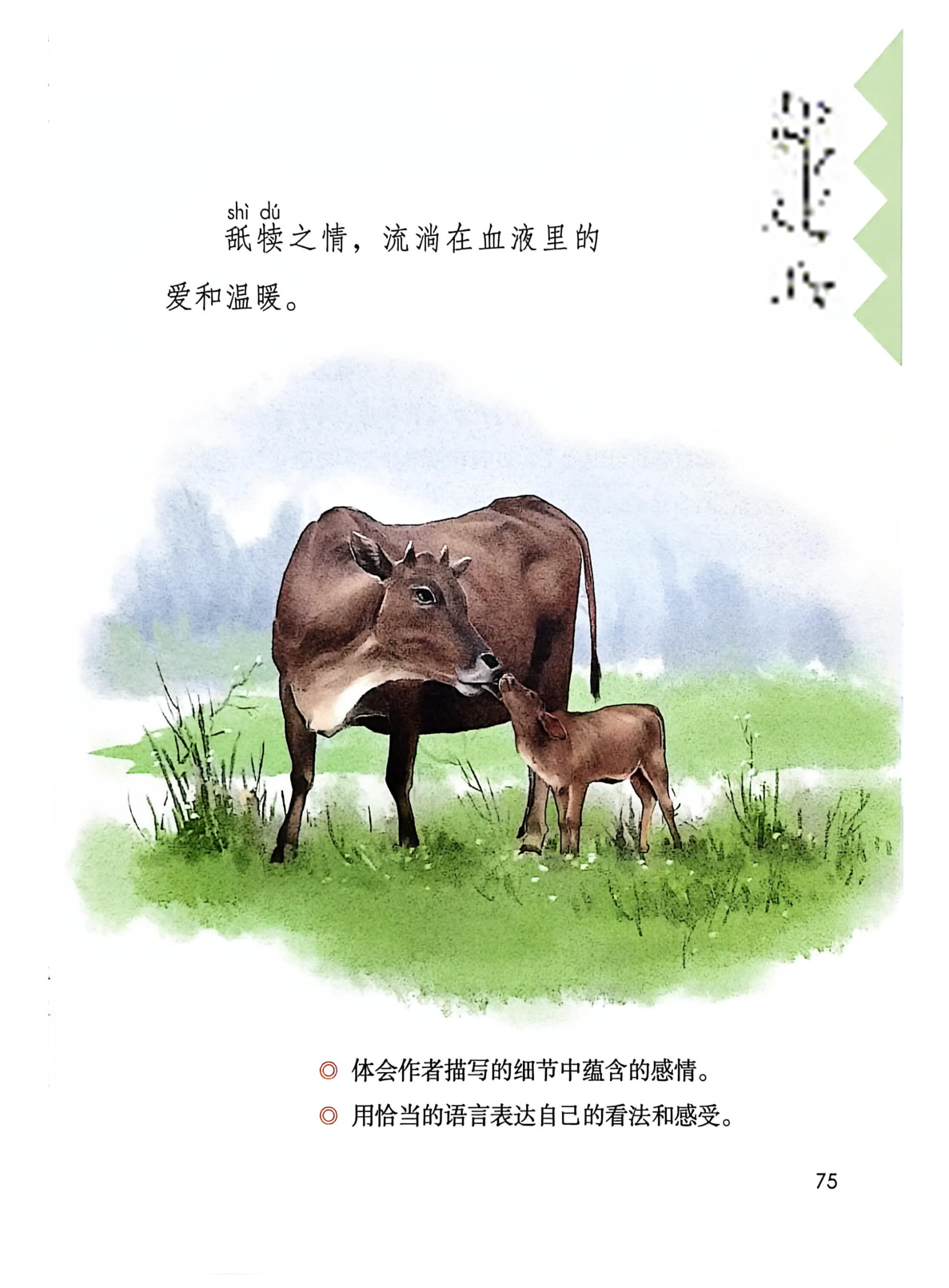 novel_370d4ca97886.jpg
