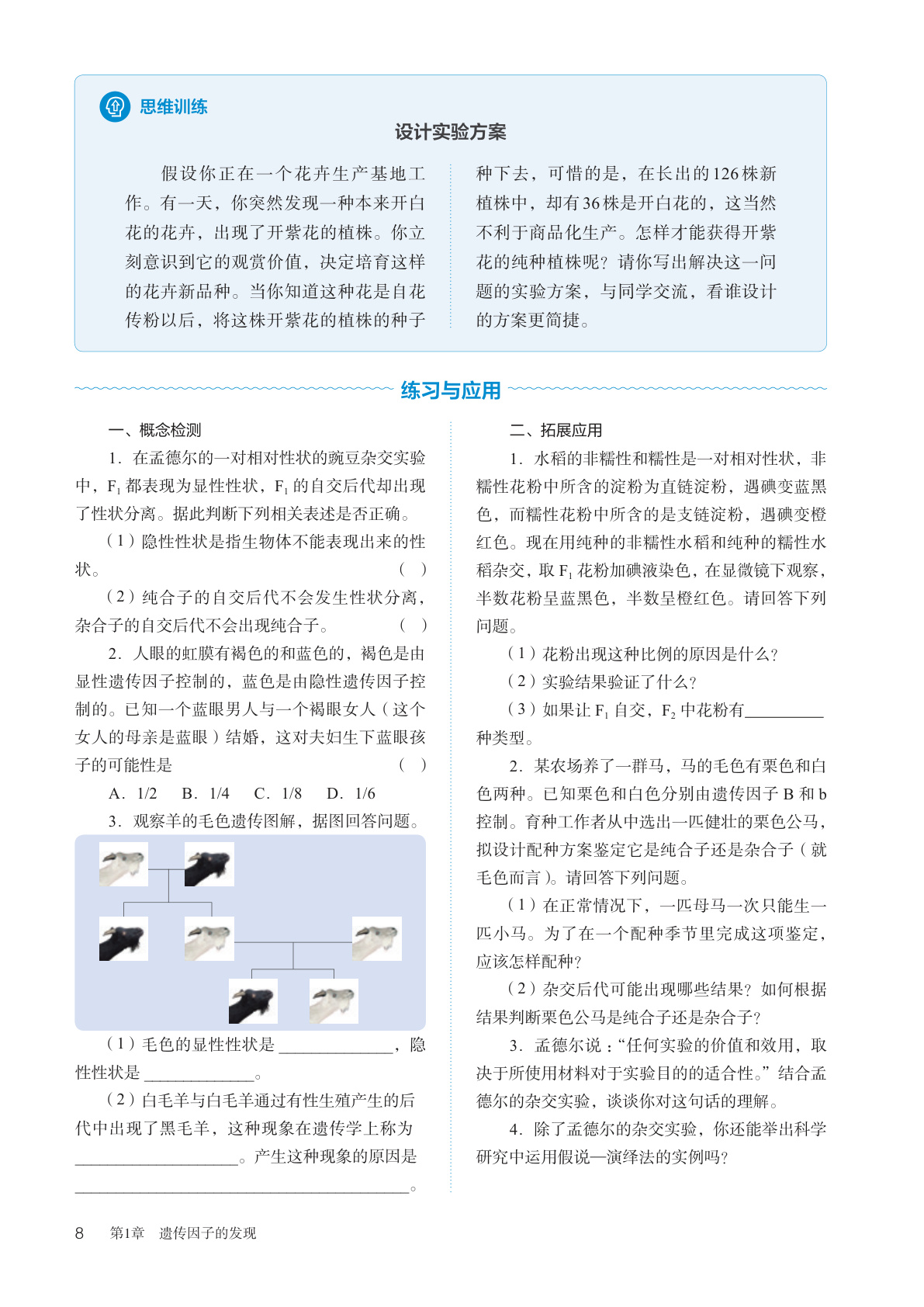 novel_03744a547efb.jpg