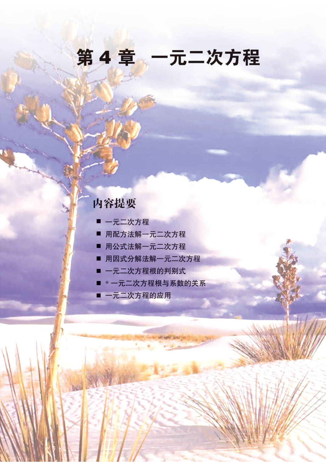 novel_7f136d1f5b98.jpg