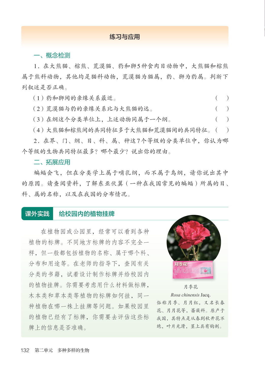 novel_6b8245d674f0.jpg