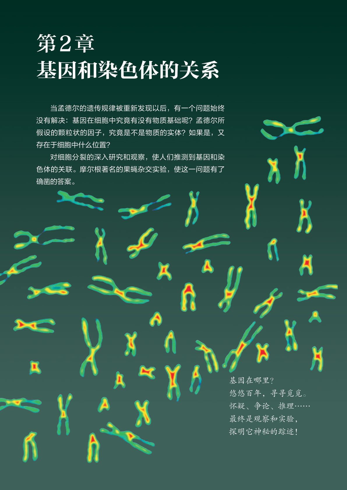 novel_8578a7f42390.jpg