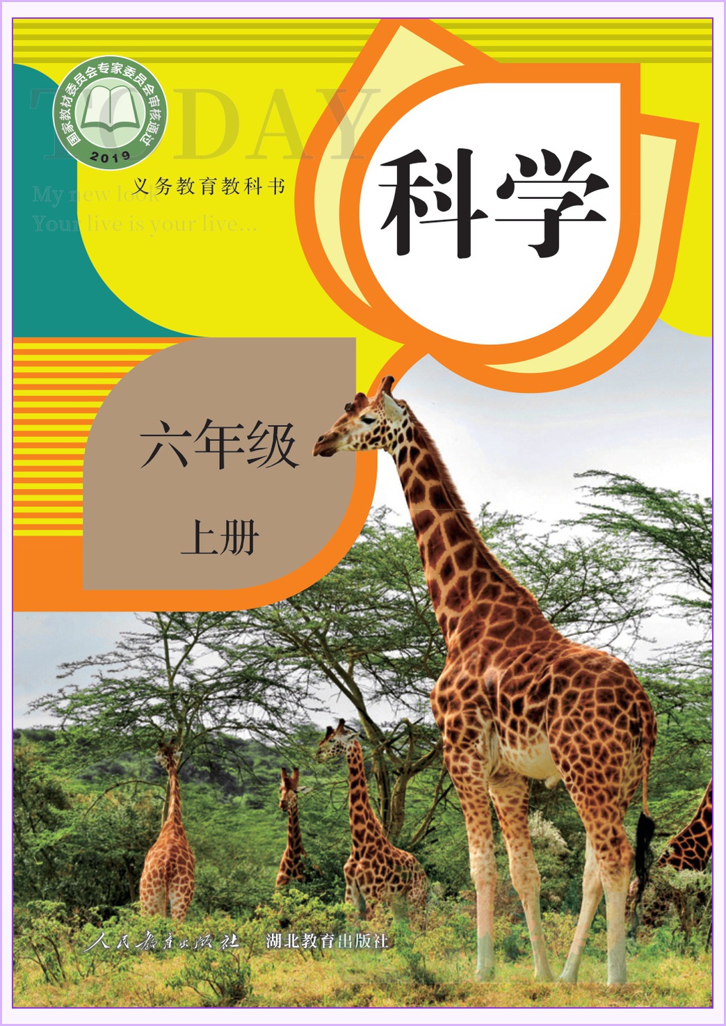 novel_c2827d71774e.jpg