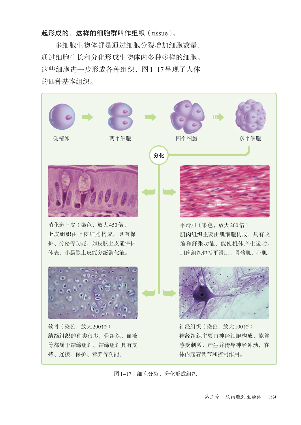 novel_0cee53fd313c.jpg